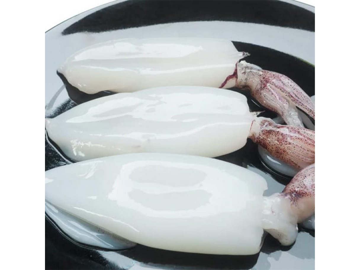 Frozen Squid Whole Cleaned